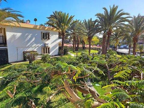 Bahía Feliz Wohnungen, Bahía Feliz Wohnung mieten