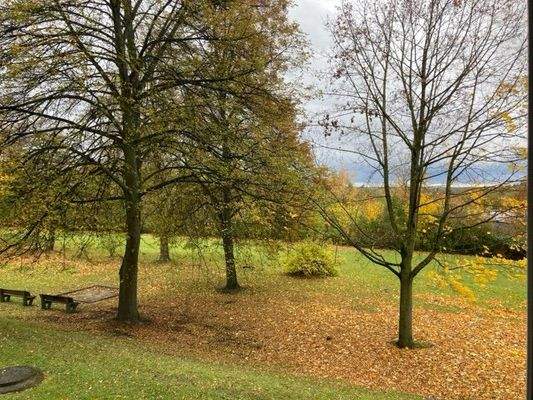Ausblick aus dem Fenster