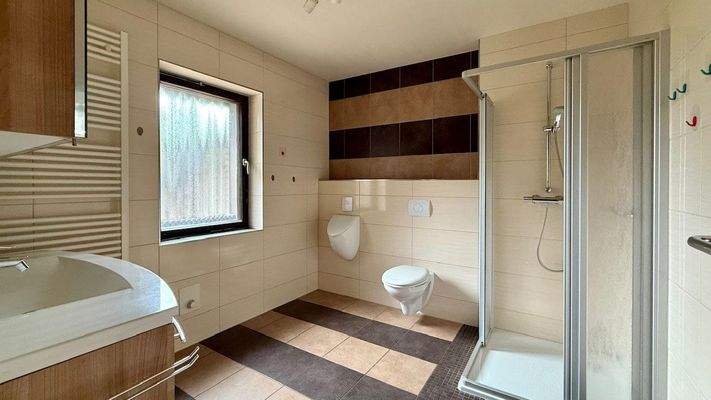 Modernes Tageslichtbad mit Dusche