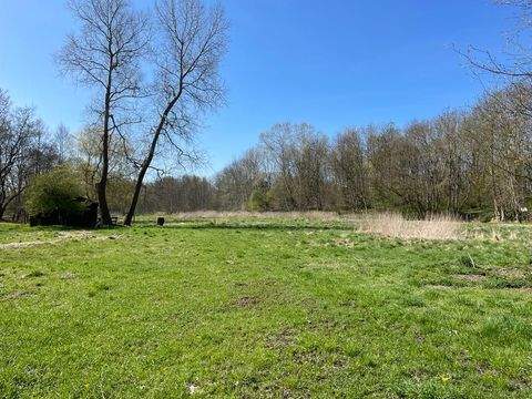 Timmendorfer Strand Bauernhöfe, Landwirtschaft, Timmendorfer Strand Forstwirtschaft