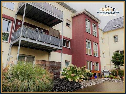 Bad Marienberg Wohnungen, Bad Marienberg Wohnung mieten