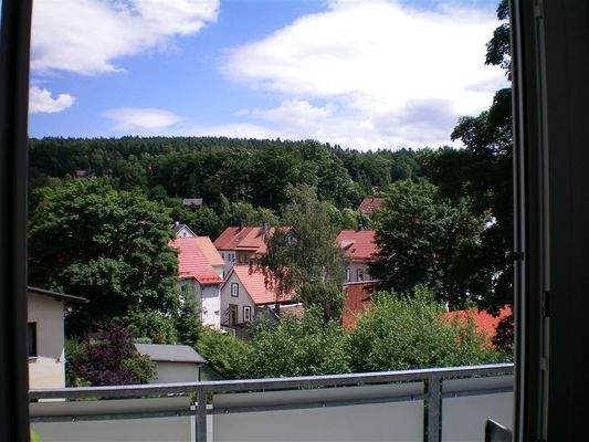 Ausblick vom Balkon im Sommer