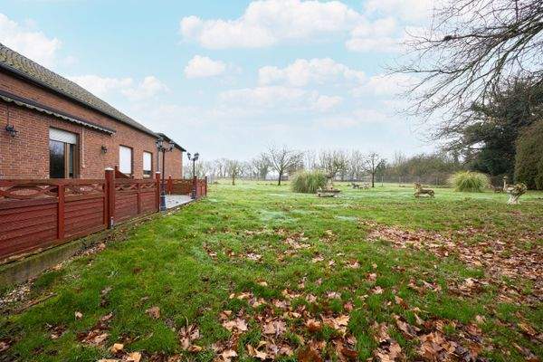 Restaurant - Terrasse 
