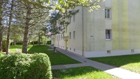 Borna Wohnungen, Borna Wohnung mieten