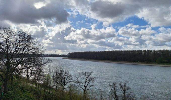 Rheinblick rheinaufwärts