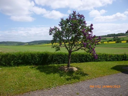 P1020163.JPG