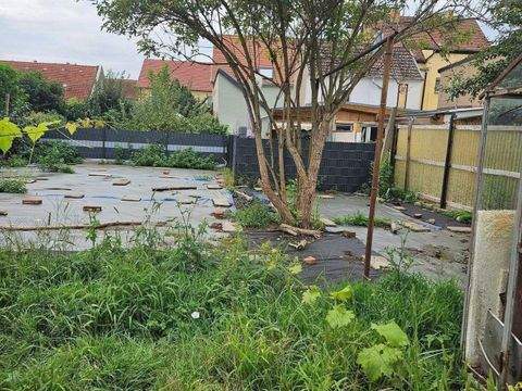 Mühlberg/Elbe Häuser, Mühlberg/Elbe Haus kaufen