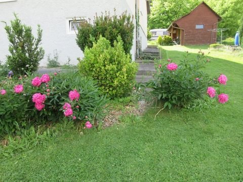 Pischelsdorf in der Steiermark Häuser, Pischelsdorf in der Steiermark Haus kaufen