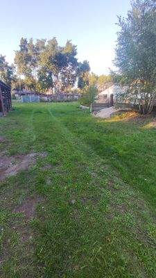 Wiese zum hinteren Teil des Grundstücks 