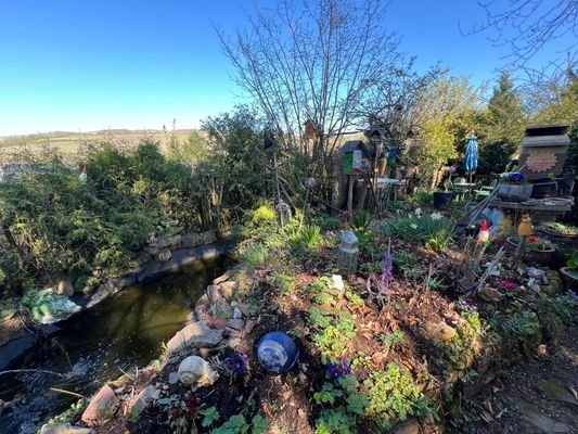 Gartenansicht mit Teich