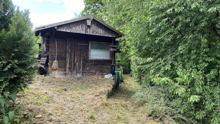 Schuppen und seitlicher "Wald"