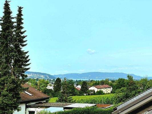 Blick von Dachterrasse.jpg