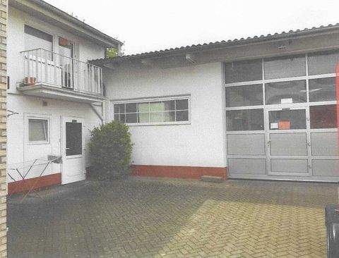 Brühl Halle, Brühl Hallenfläche