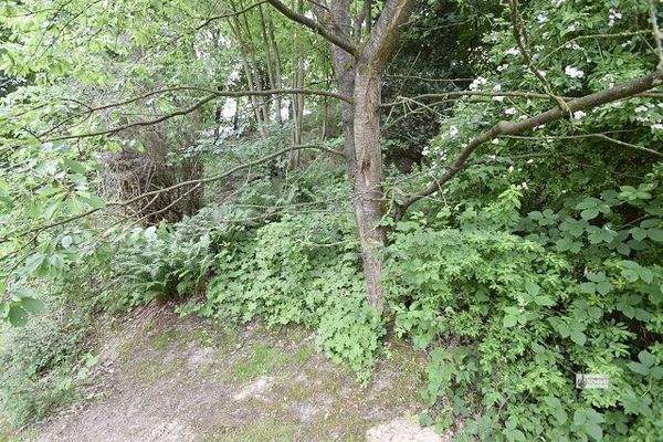 Ansteigendes Grundstück