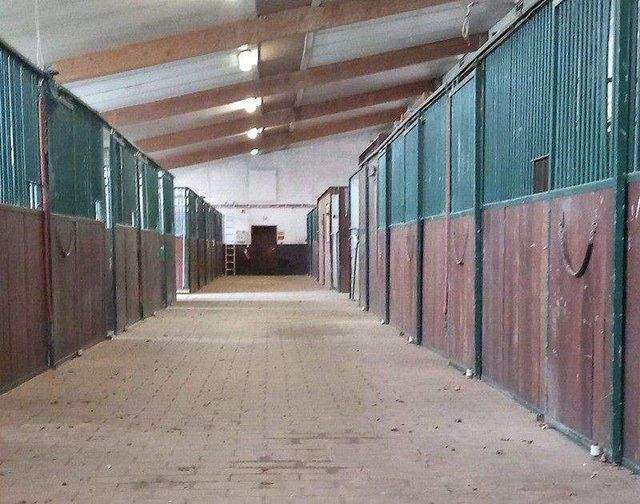 Wohnen mit Pferd! Einmalige Gelegenheit! 2 ZKB Erdgeschosswohnung mit Garten, 56 m² auf Reitanlage - Photo 5