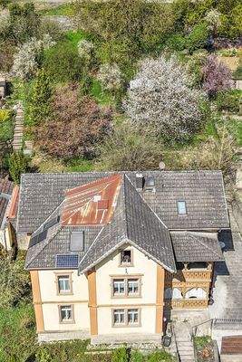 Hausansicht Straße mit Garten