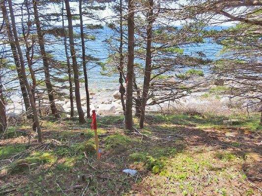 Nova Scotia - Grover?s Point - Wunderschönes Uferg