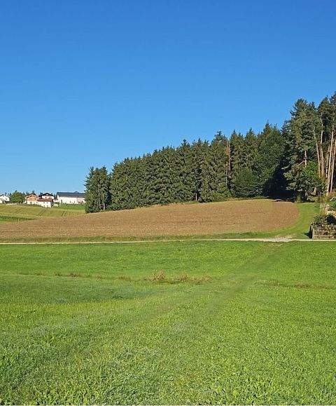 Pleiskirchen Bauernhöfe, Landwirtschaft, Pleiskirchen Forstwirtschaft