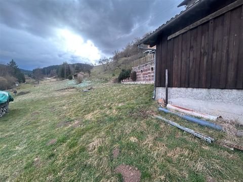 Dornhan Grundstücke, Dornhan Grundstück kaufen