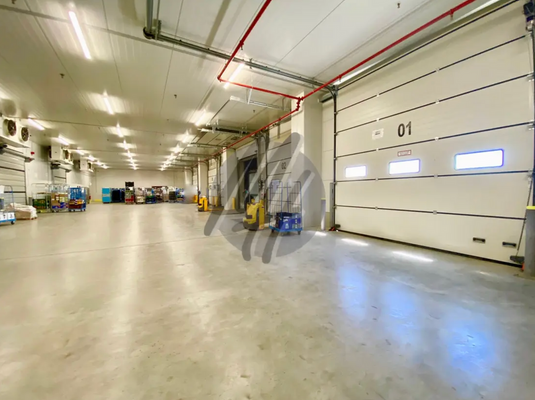 INFOS UNTER: 06171-586000