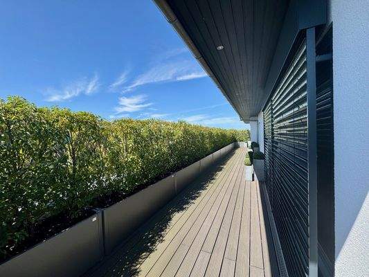 Eingewachsene Dachterrasse