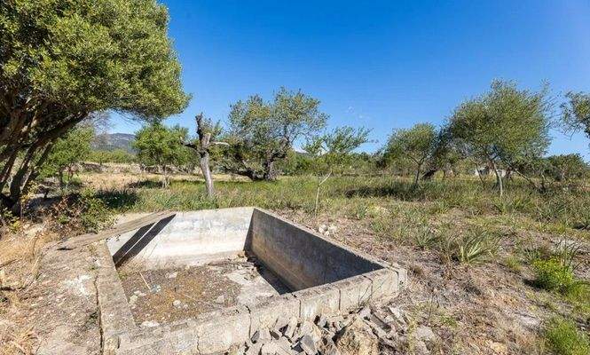 Finca zum Ausbau zwischen Santa Maria und Alaró zu verkaufen, Mallorca