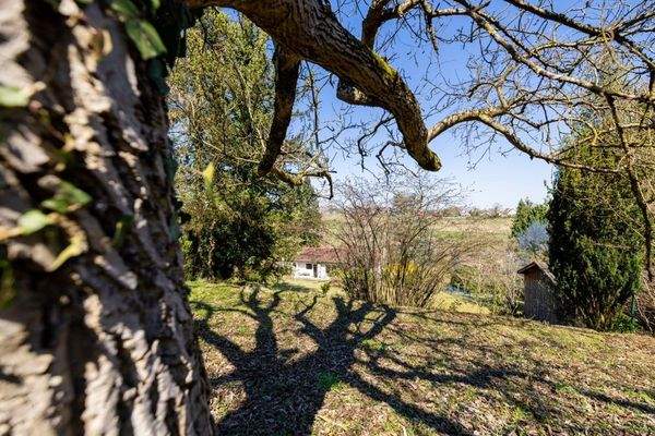 sensationeller Ausblick auf Würzburg