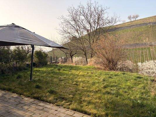Terrasse mit Blick in die Weinberge