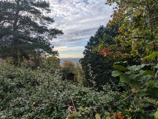 Aussicht in Rheinebene.jpg