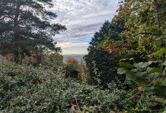 Aussicht in Rheinebene.jpg