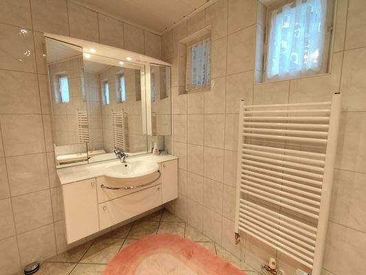 EG Badezimmer Ansicht 1