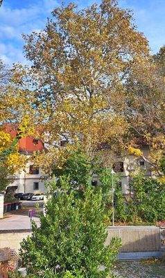 OG: Ausblick ins Grüne