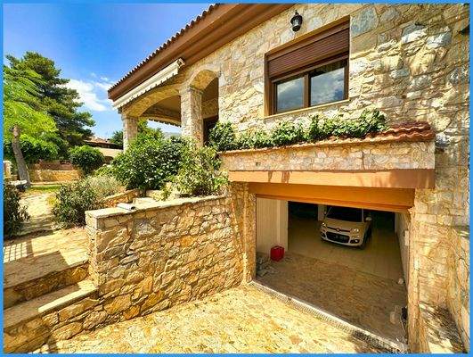 9c430554e34c44aabeb88483c54453d8-original