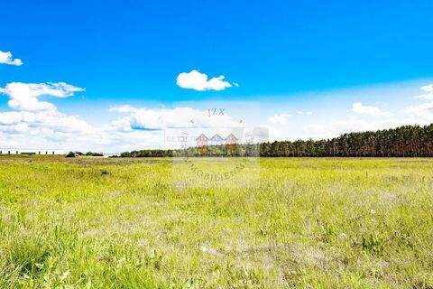 Jessen (Elster) Industrieflächen, Lagerflächen, Produktionshalle, Serviceflächen