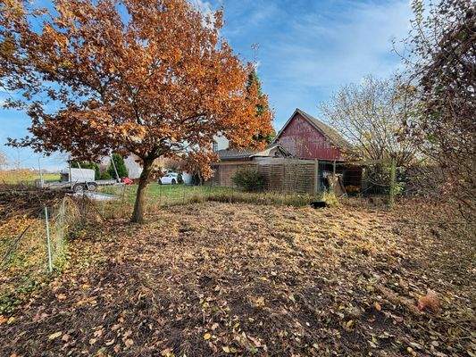 Garten an der Straße