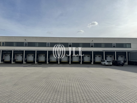 Ludwigsfelde Halle, Ludwigsfelde Hallenfläche