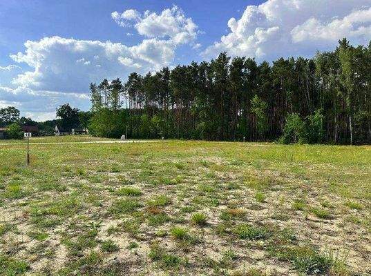 Baugrundstück am Wald