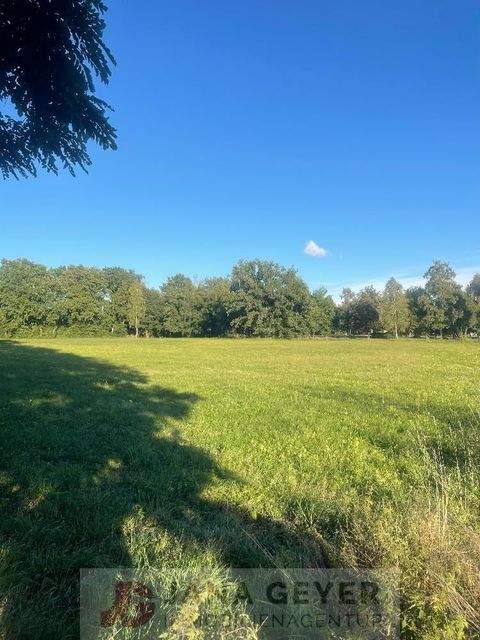 Bad Schmiedeberg Grundstücke, Bad Schmiedeberg Grundstück kaufen