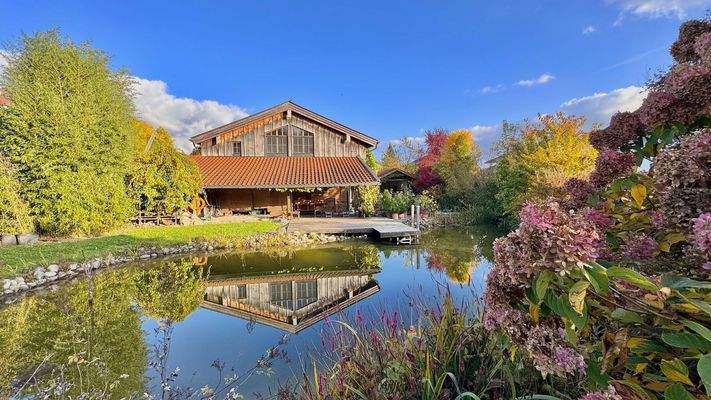 Blick von Westen auf Bestand