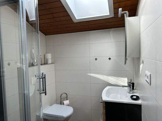 Apartments 2. OG - Bad & WC 3 von 4