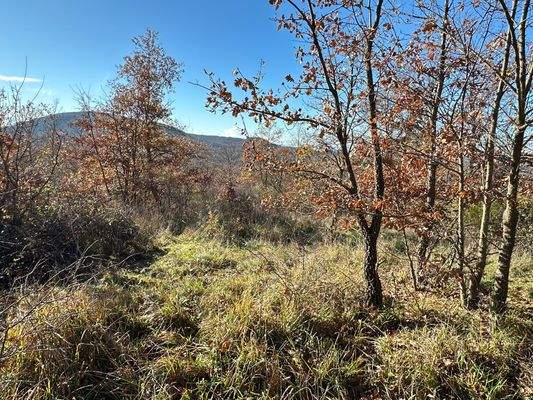 Toskana Waldgrundstück 5010 m2