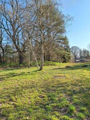 Parkähnlicher Garten #1