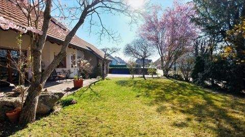 Mühlhausen-Ehingen Häuser, Mühlhausen-Ehingen Haus kaufen