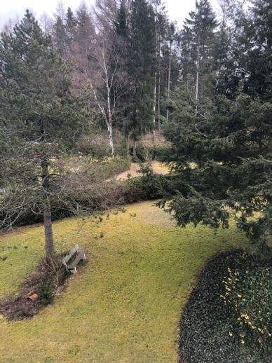 Zwiesel Wohnungen, Zwiesel Wohnung mieten