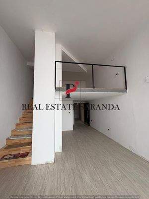 WhatsApp Image 2025-08-08 at 13.55.37.jpeg