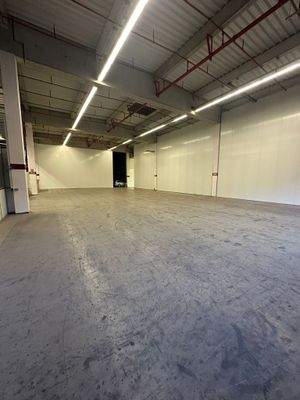 Image 2024-12-19 at 11.47.18 (2).jpeg