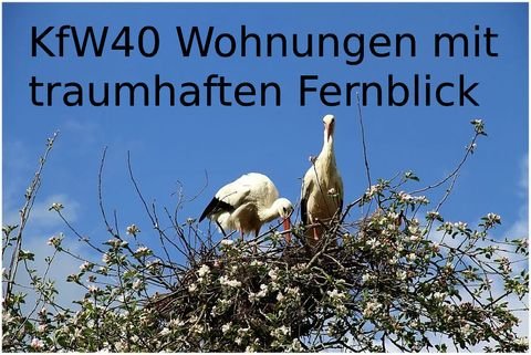 Wassertrüdingen Wohnungen, Wassertrüdingen Wohnung kaufen