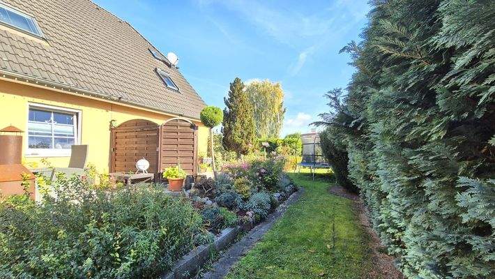 Sommerimpressionen im Garten