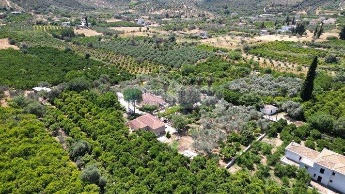 img_c0745ea8-d35b-4c00-afcd-5dae2c784a92