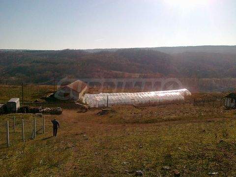 Batovo Renditeobjekte, Mehrfamilienhäuser, Geschäftshäuser, Kapitalanlage